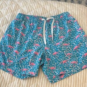 Chubbies Blue and Pink Patterned Swim Shorts